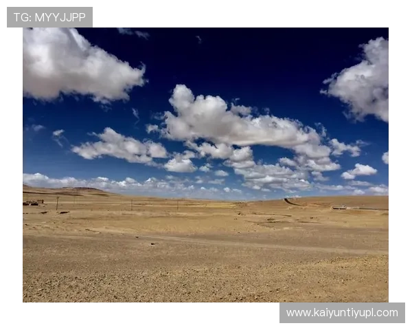 深入了解开云全站网站的功能布局与使用技巧解析