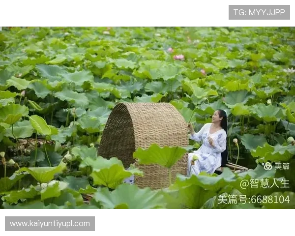 畅游在开云真人手机版中的精彩瞬间与真实体验